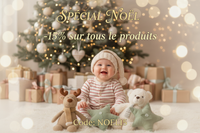 Bannière Noël NOEL15